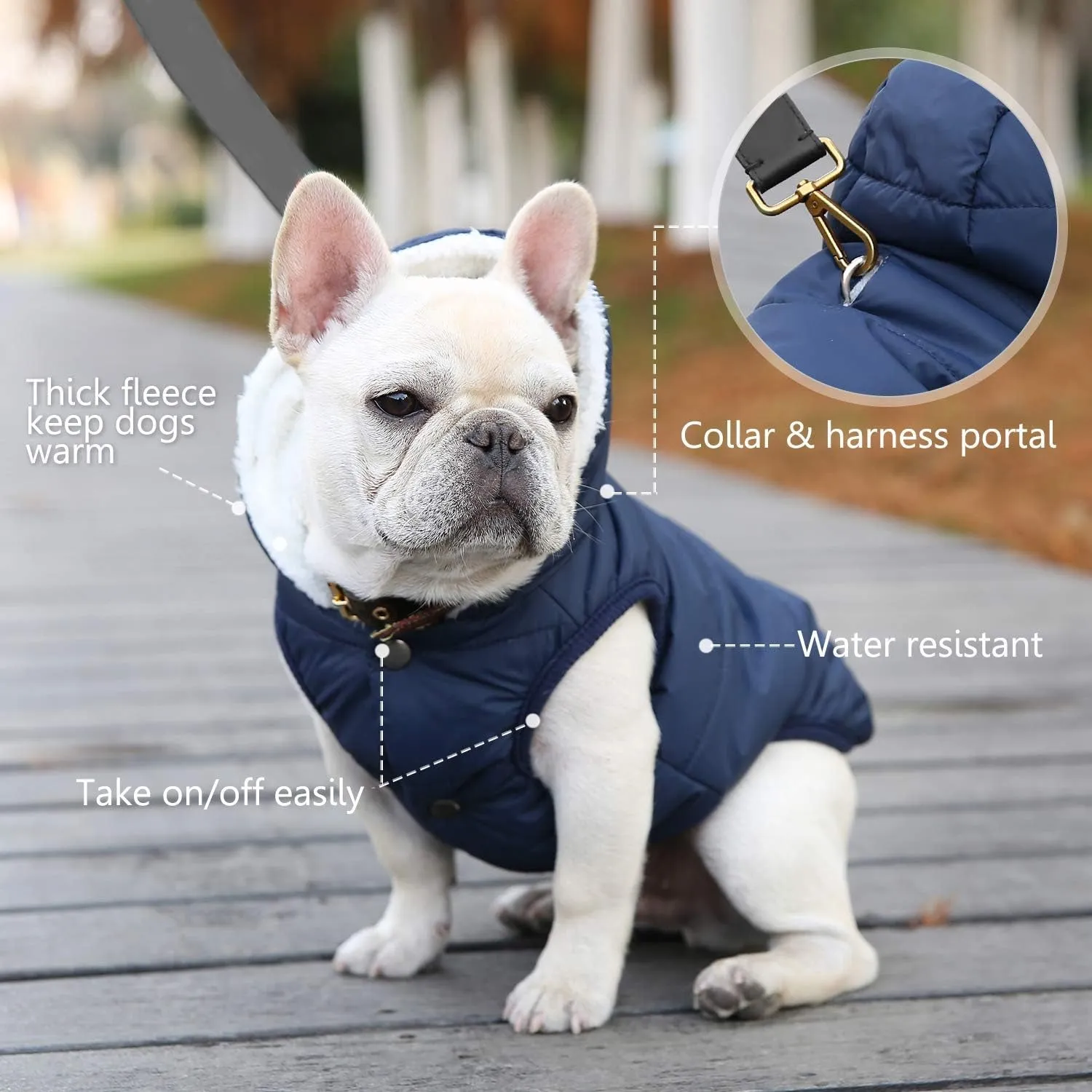 Dog Fleece Hoodie, Windproof Waterproof Dog Coat Fleece & Cotton Lined Warm Dog Jacket, Cold Weather Pet Apparel Clothes Vest for Small Medium Large Dog (M: Length 12.6", Chest 15"-17.3", Blue)