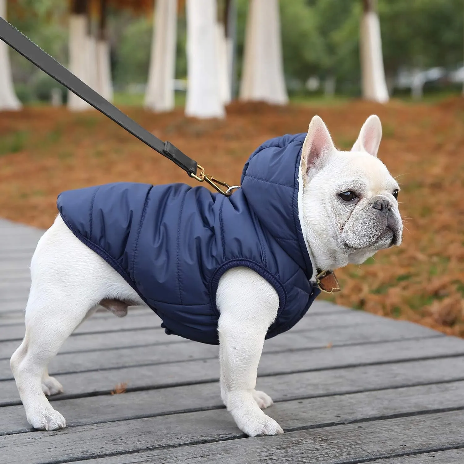 Dog Fleece Hoodie, Windproof Waterproof Dog Coat Fleece & Cotton Lined Warm Dog Jacket, Cold Weather Pet Apparel Clothes Vest for Small Medium Large Dog (M: Length 12.6", Chest 15"-17.3", Blue)