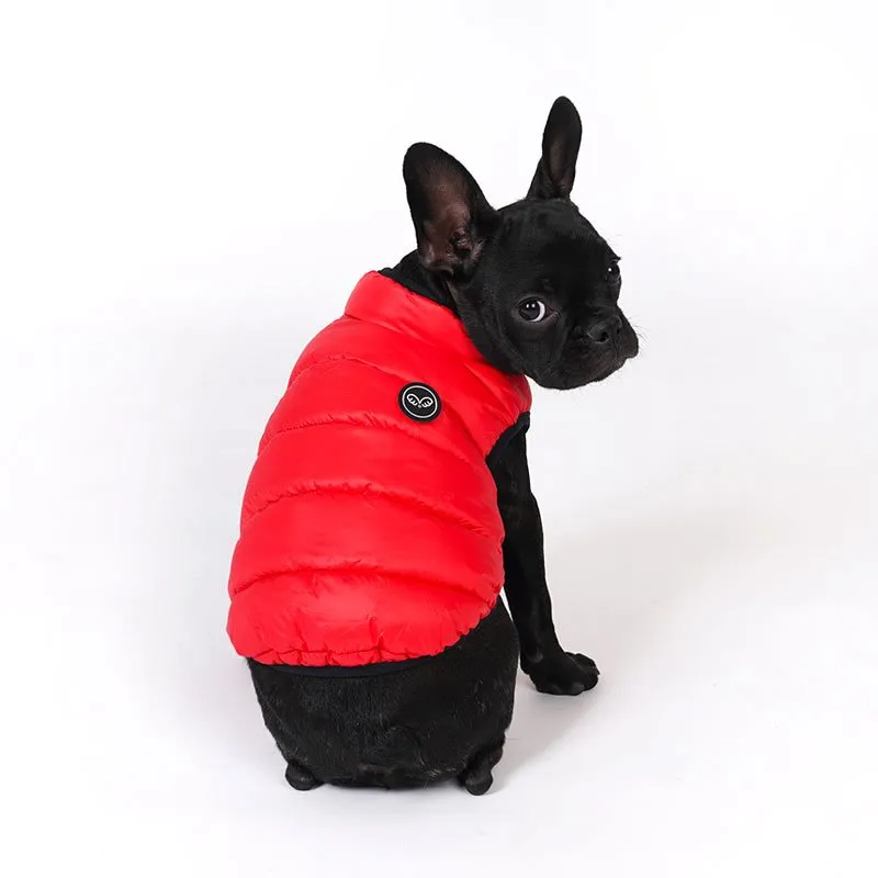 lightweight padding vest for frenchies - red - few left!