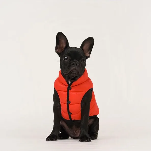 lightweight padding vest for frenchies - red - few left!