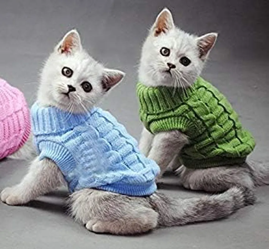 Sweater for Cats