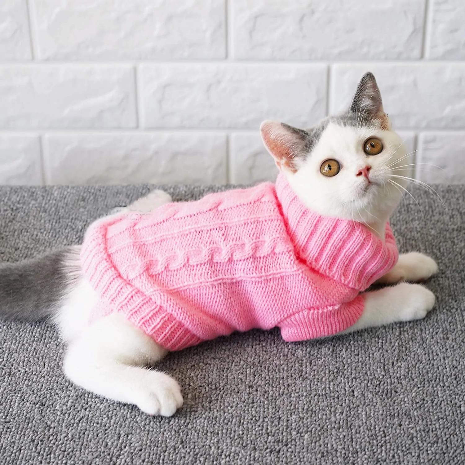 Sweater for Cats