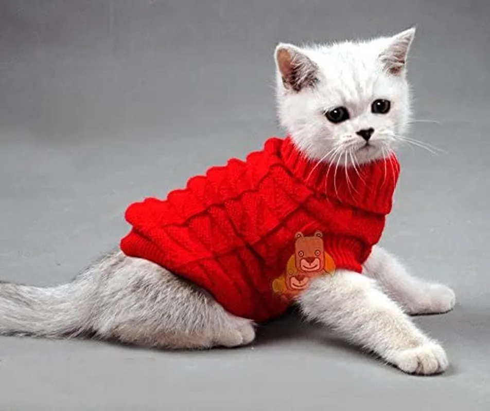 Sweater for Cats