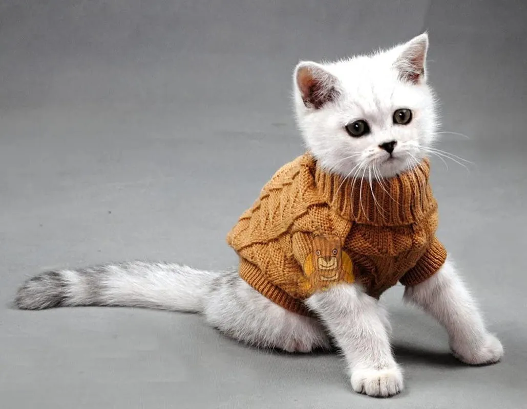 Sweater for Cats