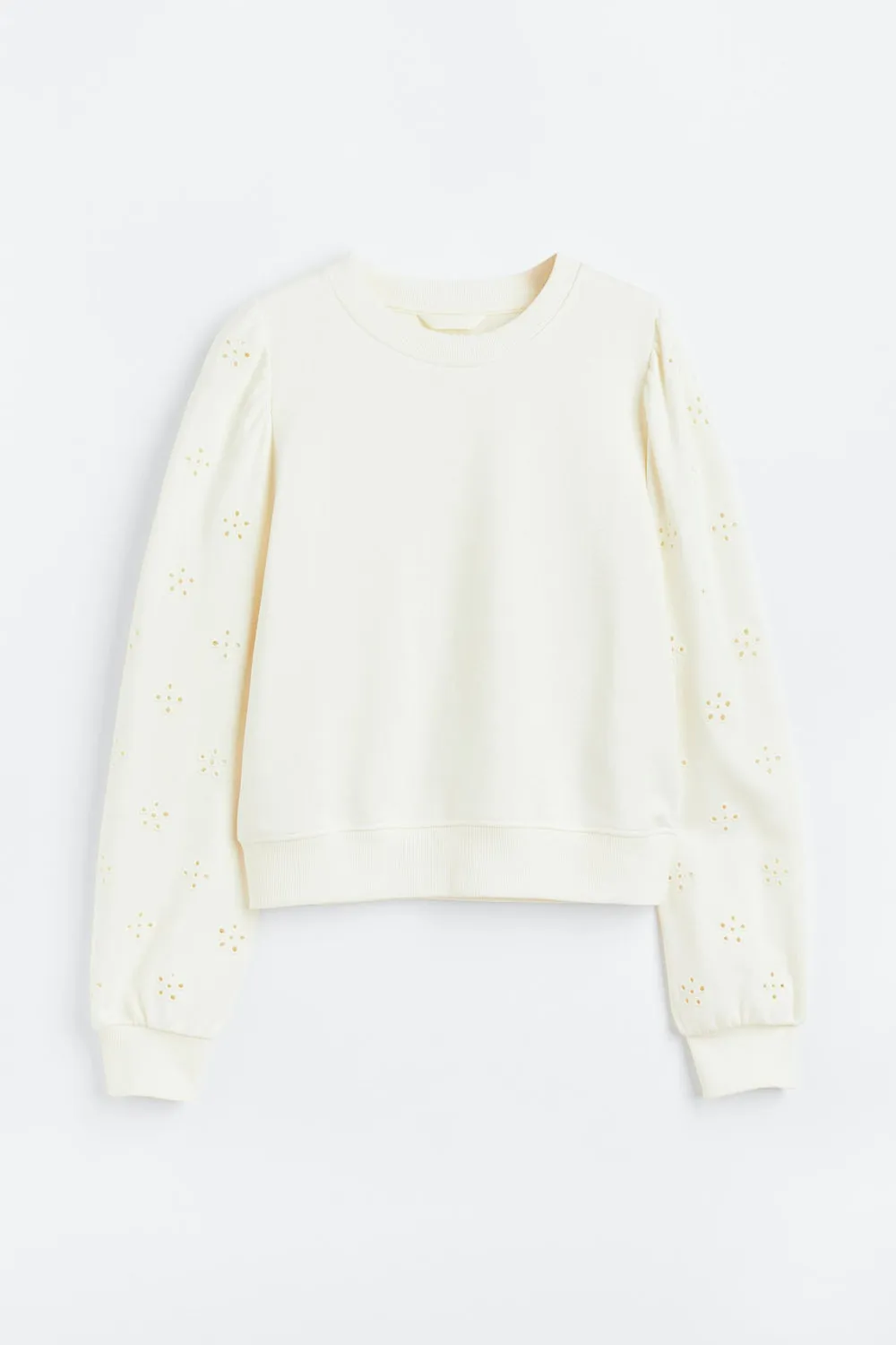 Sweatshirt with Eyelet Embroidery