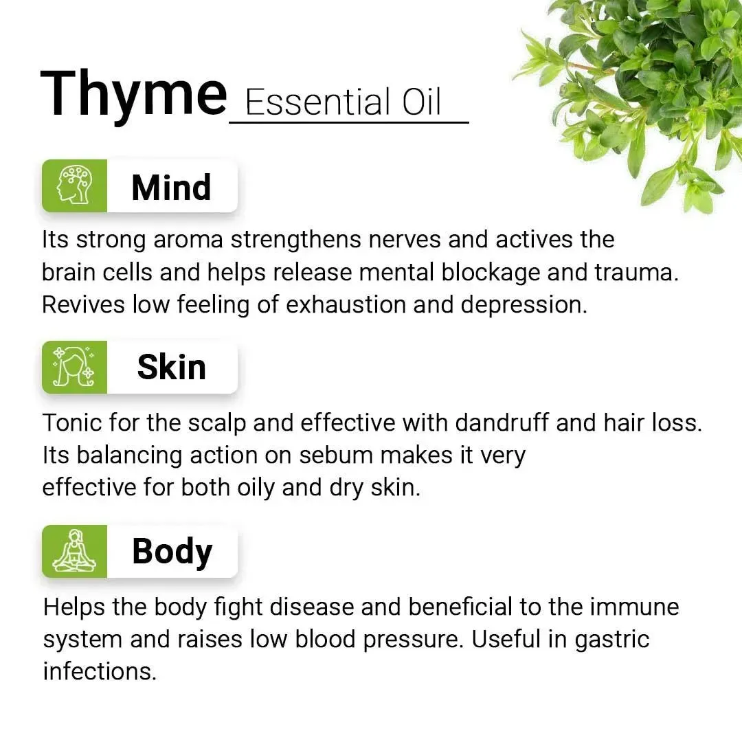 Thyme Essential Oil, Therapeutic Pure & Natural, Antimicrobe, Antiseptic, Immunity Booster, Digestive 10ml