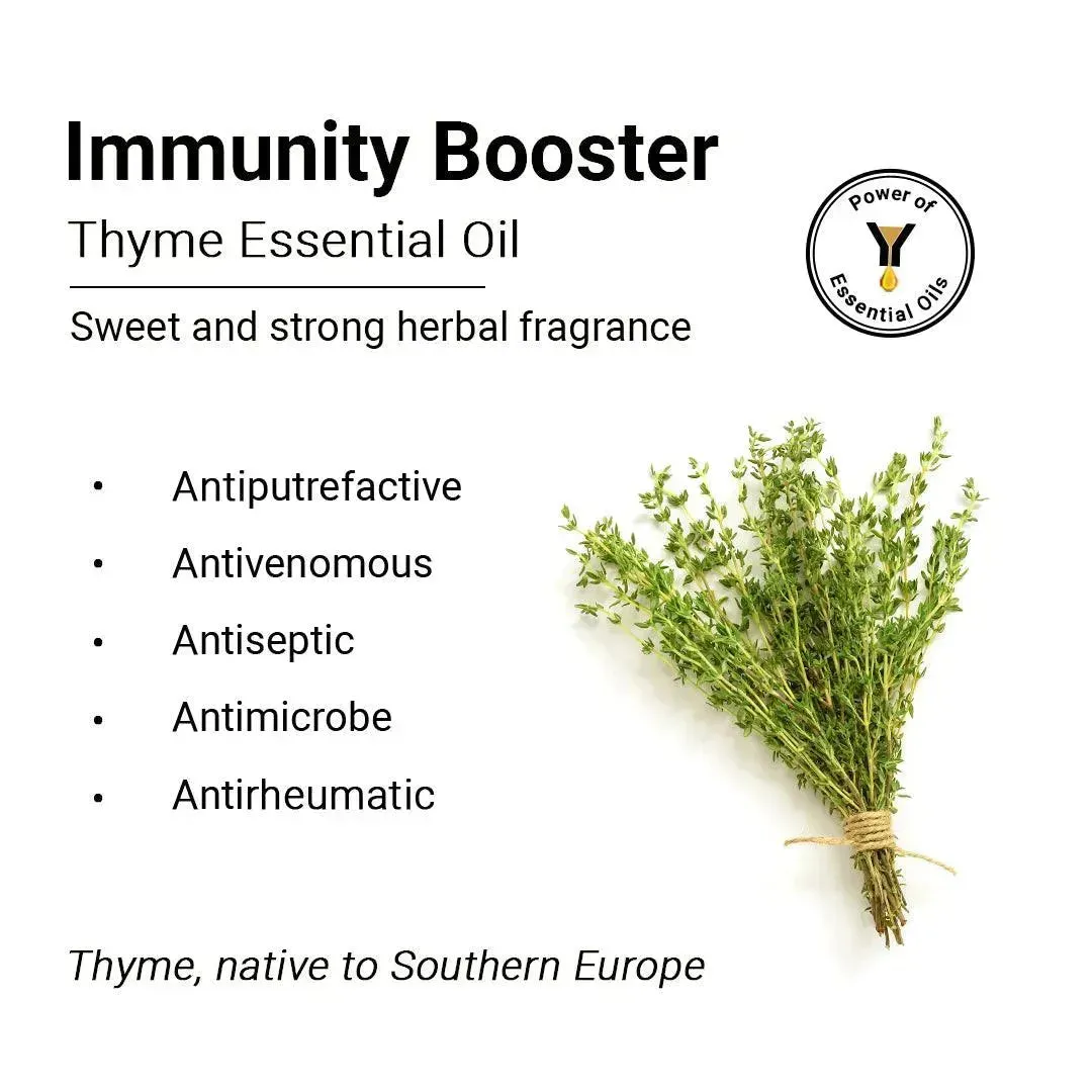 Thyme Essential Oil, Therapeutic Pure & Natural, Antimicrobe, Antiseptic, Immunity Booster, Digestive 10ml